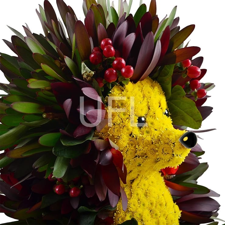 Hedgehog in the Fog, Ovidiopol