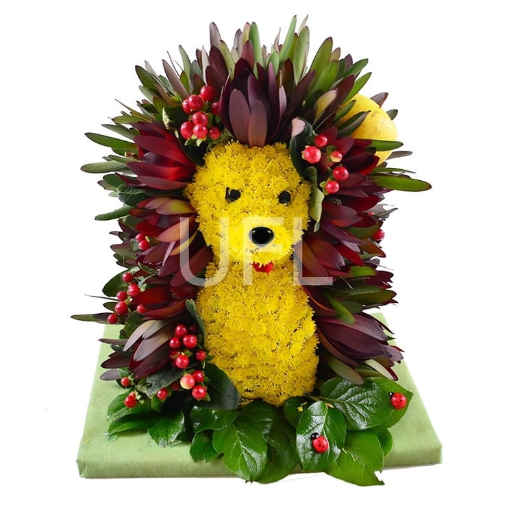 Hedgehog in the Fog, Ovidiopol