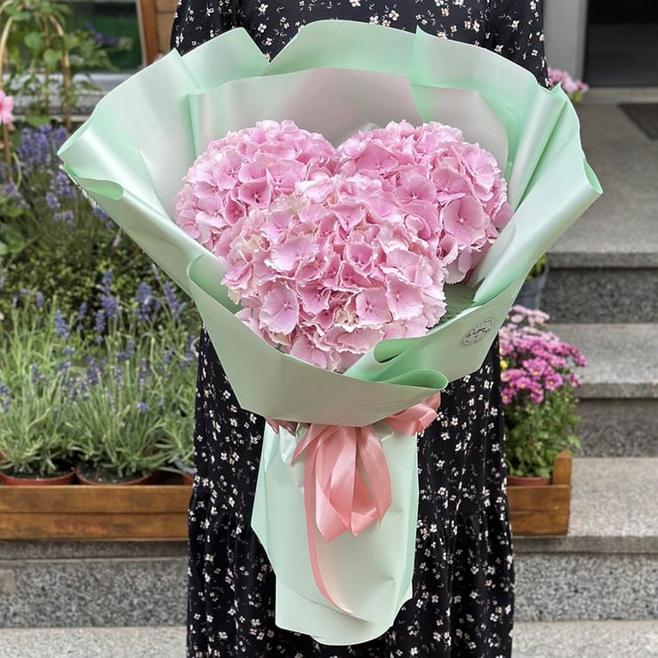 3 рожеві гортензії – доставка квітів у Аваруа