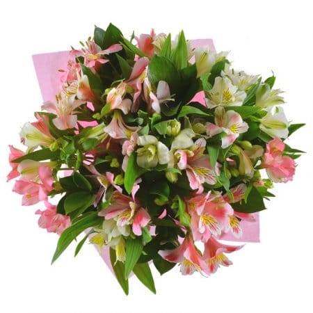 Spring tenderness, Ternopol