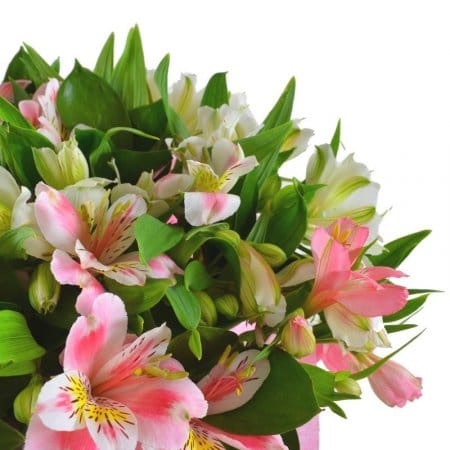 Spring tenderness, Ternopol