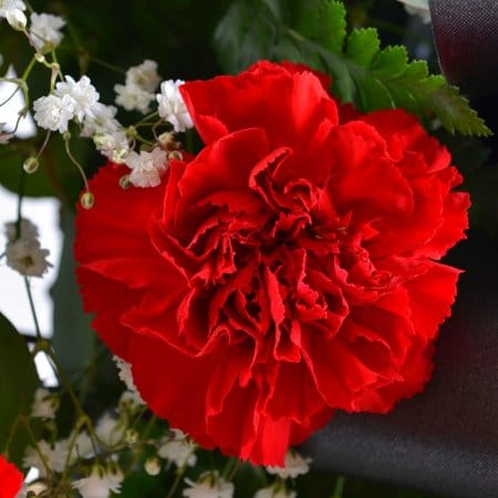 Ритуальная композиция из живых цветов № 2 – доставка цветов в Красные Окны  