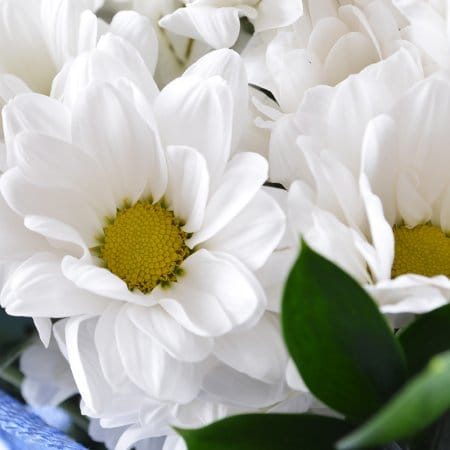 Букет ромашок – доставка квітів у Червоноармійськ