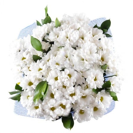 Букет ромашок – доставка квітів у Червоноармійськ