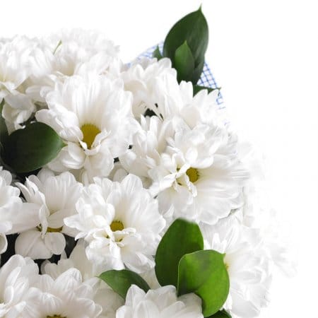 Букет ромашок – доставка квітів у Червоноармійськ