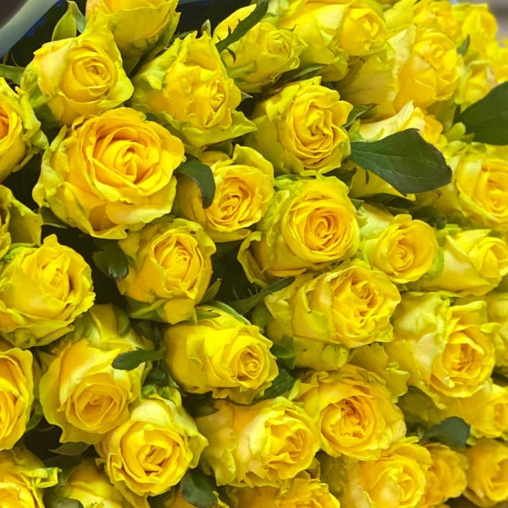 Желтые розы поштучно – доставка цветов в Киев - за город