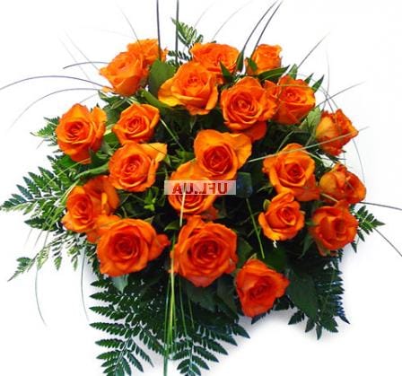 Orange roses, Poltava