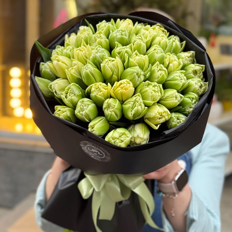 51 тюльпан Verona – доставка квітів у Івано-Франківськ