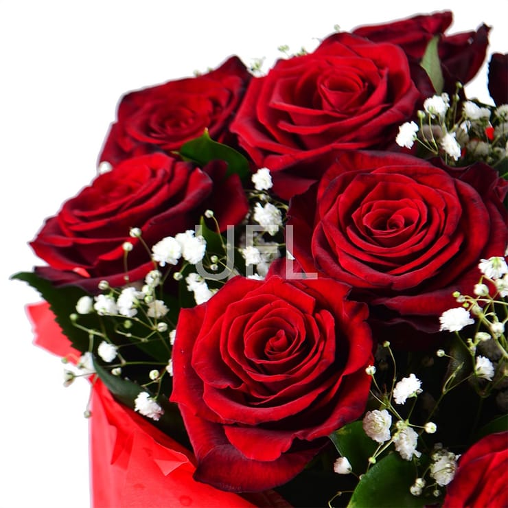 Roses in the snow – flower delivery in Nizhnie_seregozi