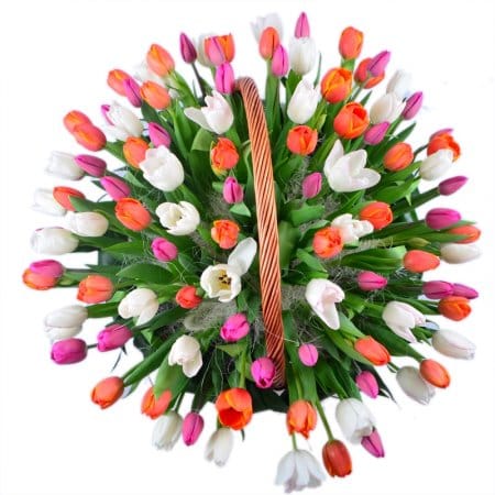 101 тюльпан в корзине – доставка цветов в Хагатна