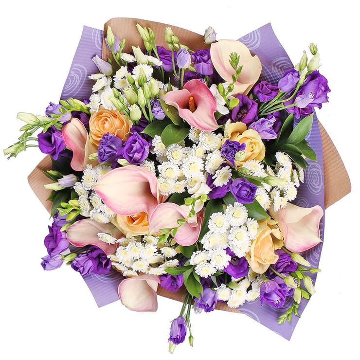 Generous gentleman, Brovari