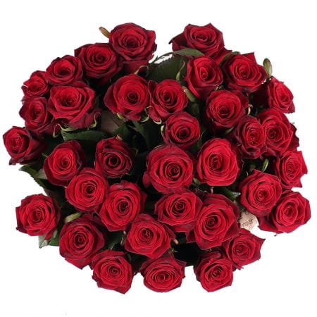 35 roses Odessa, Truskavets
