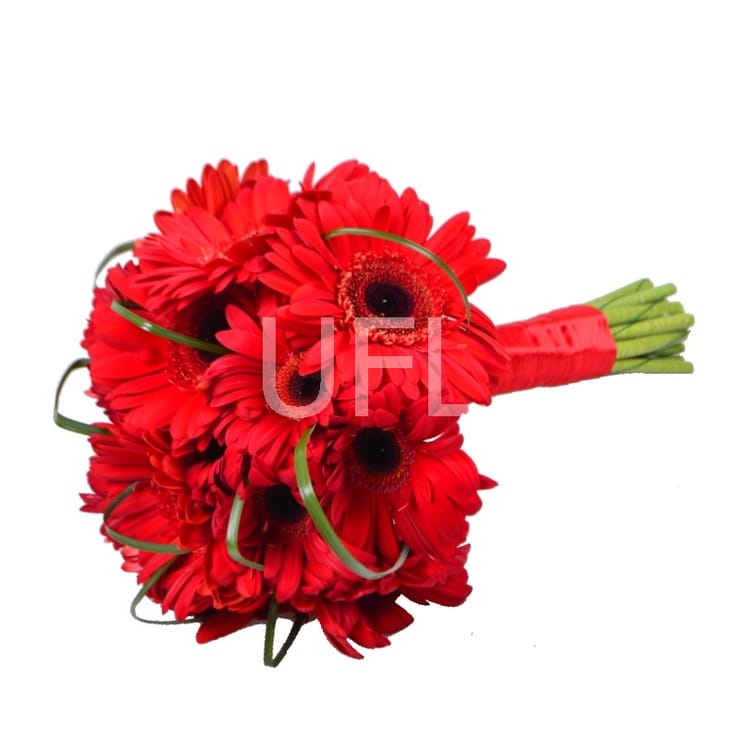 Букет из красных гербер – доставка цветов в Порт Морсби