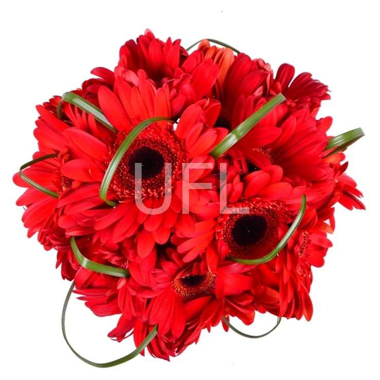 Букет из красных гербер – доставка цветов в Порт Морсби