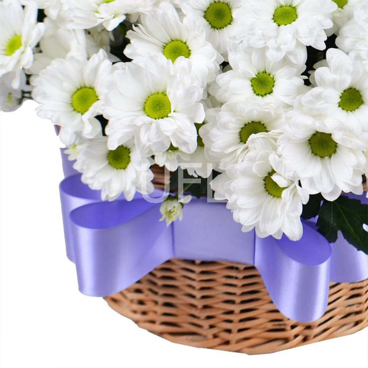 Букет квітів Ромашкове поле – доставка квітів у Анкара