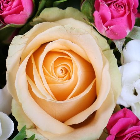 For my love – flower delivery in Newport