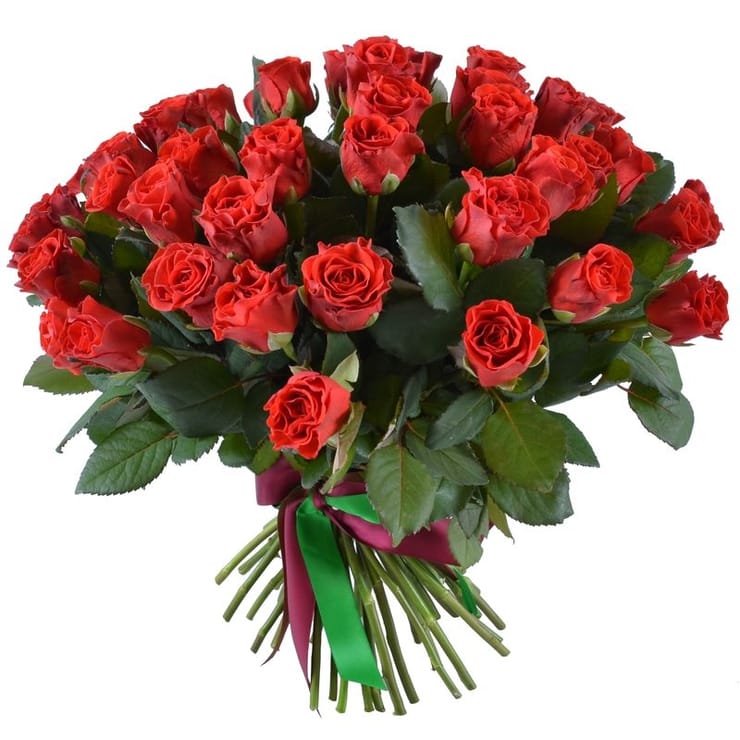 45 red roses, Rovno