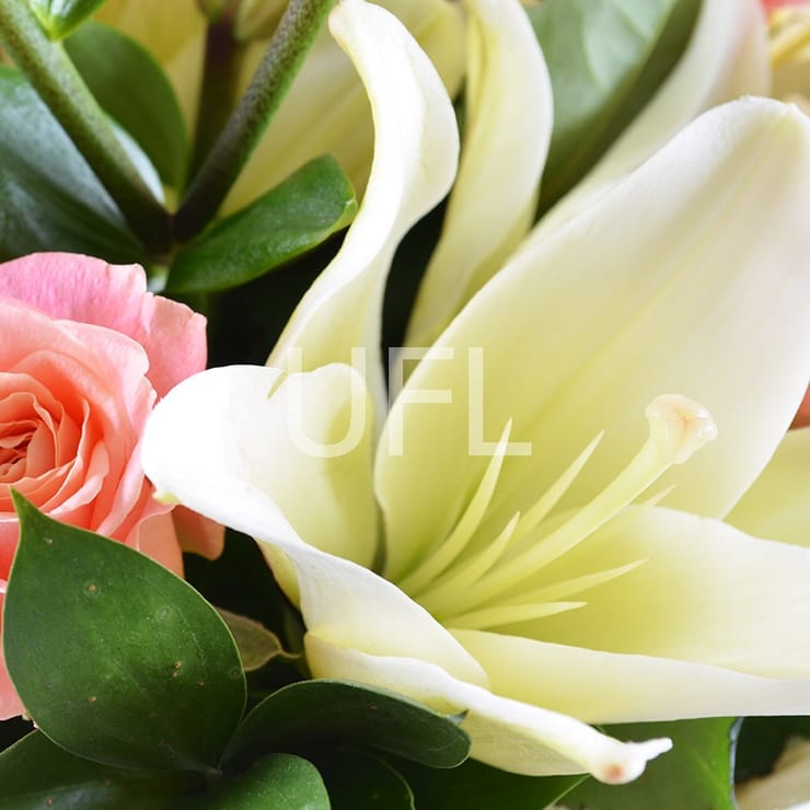 Букет квітів Монро – доставка квітів у Носівка