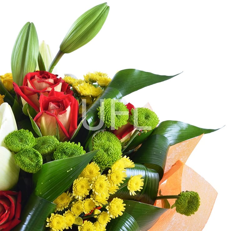Букет Папуга, Козова