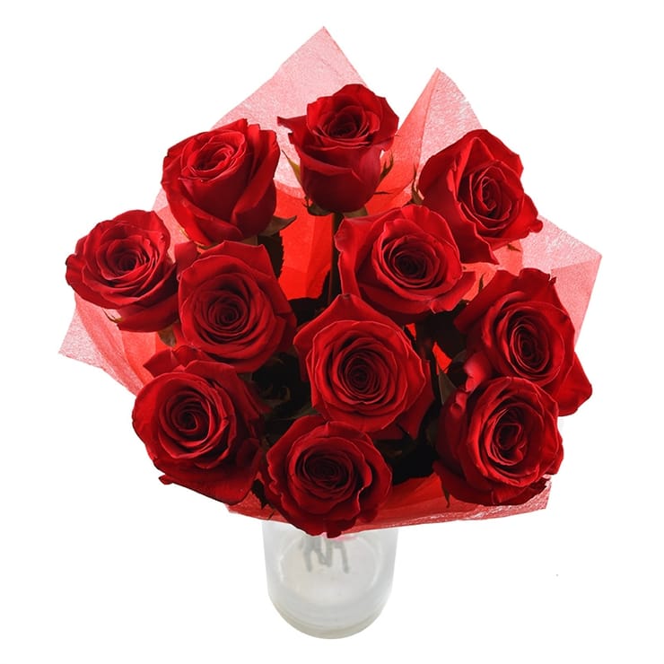 11 premium roses, Aleksandriya (Україна)