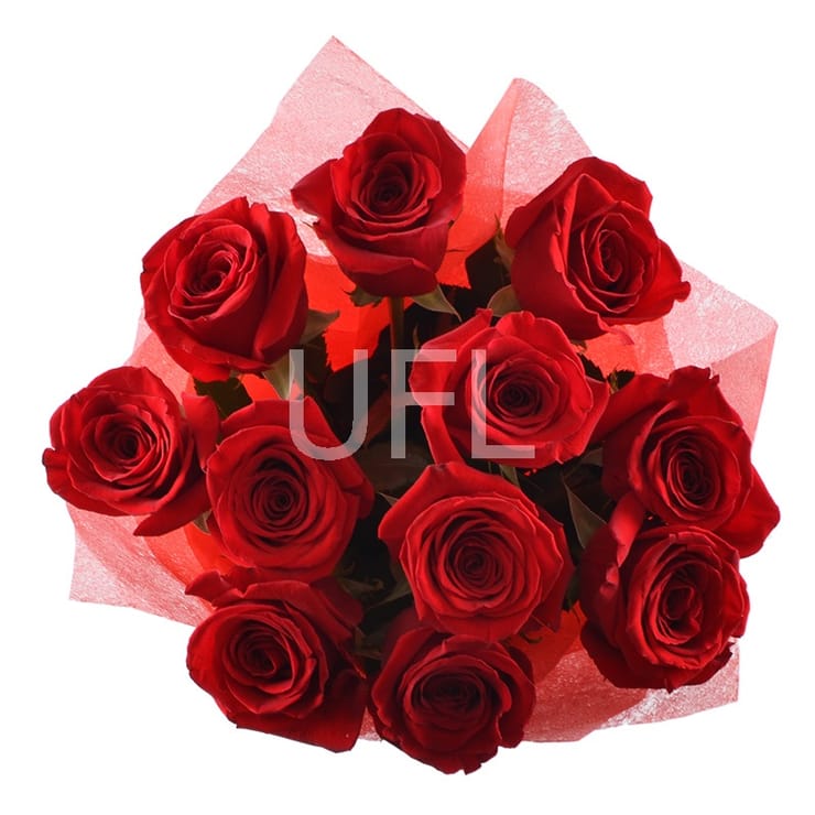 11 premium roses, Aleksandriya (Україна)