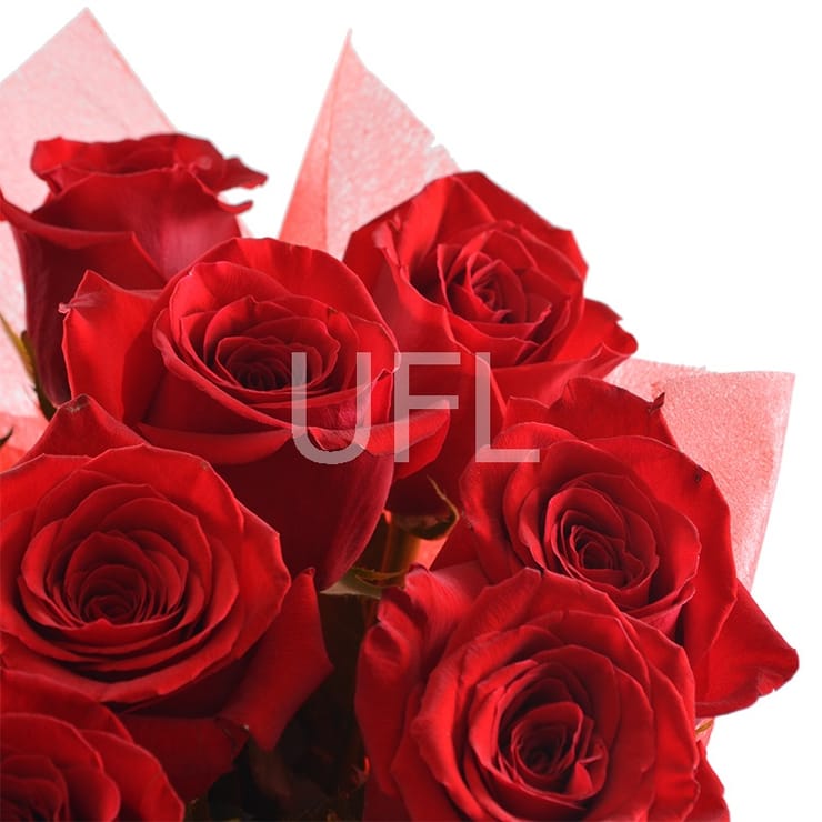 11 premium roses, Aleksandriya (Україна)