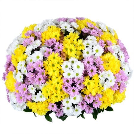 Basket of mix chrysanthemum, Kharkov