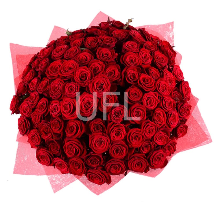 101 red rose 50cm, Nikopol (Ukraine)