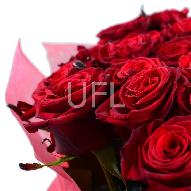 101 red rose 50cm, Nikopol (Ukraine)