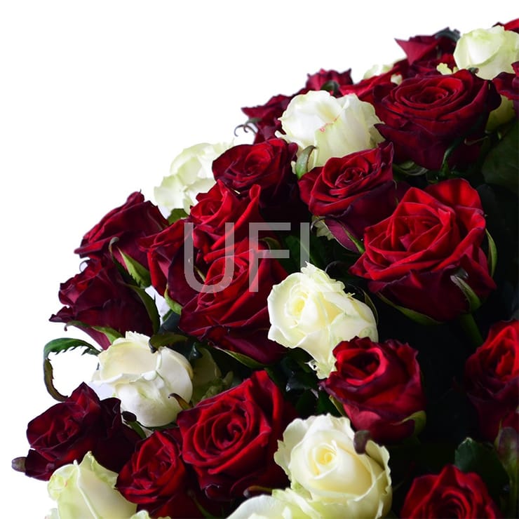 101 red-and-white roses – flower delivery in Volnyansk