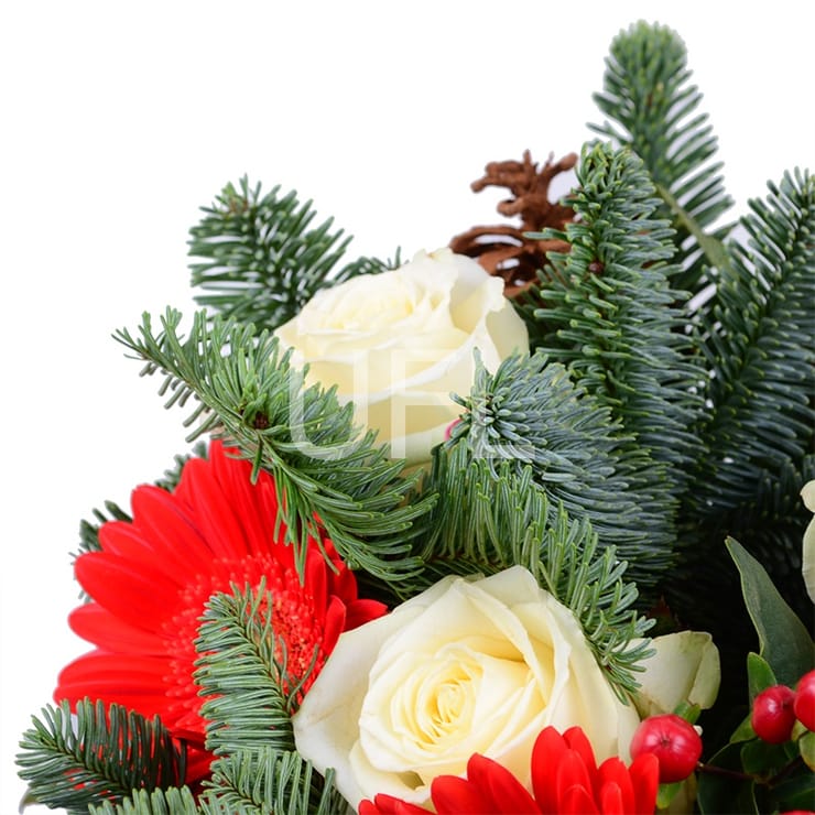 Christmas tree bouquet+Chocolate Santa Claus, Odessa