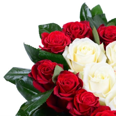 Heart with roses, Kolomyja