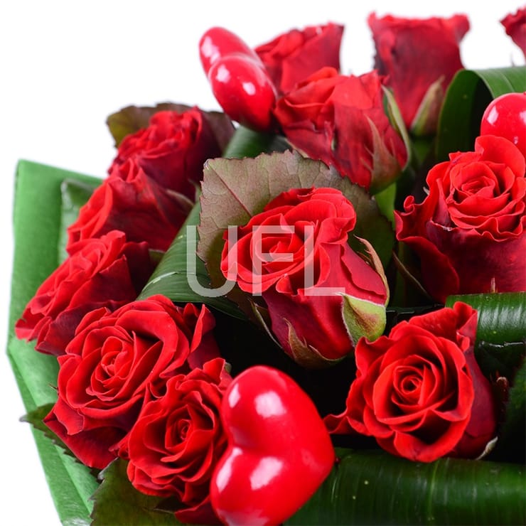 Сердце, Черновцы