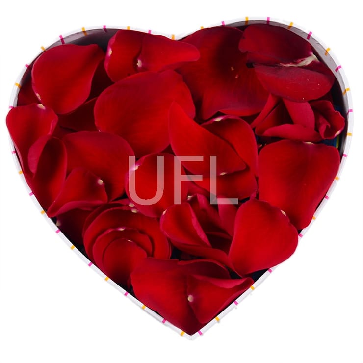 Лепестки роз в коробке – доставка цветов в Мурованые Куриловцы