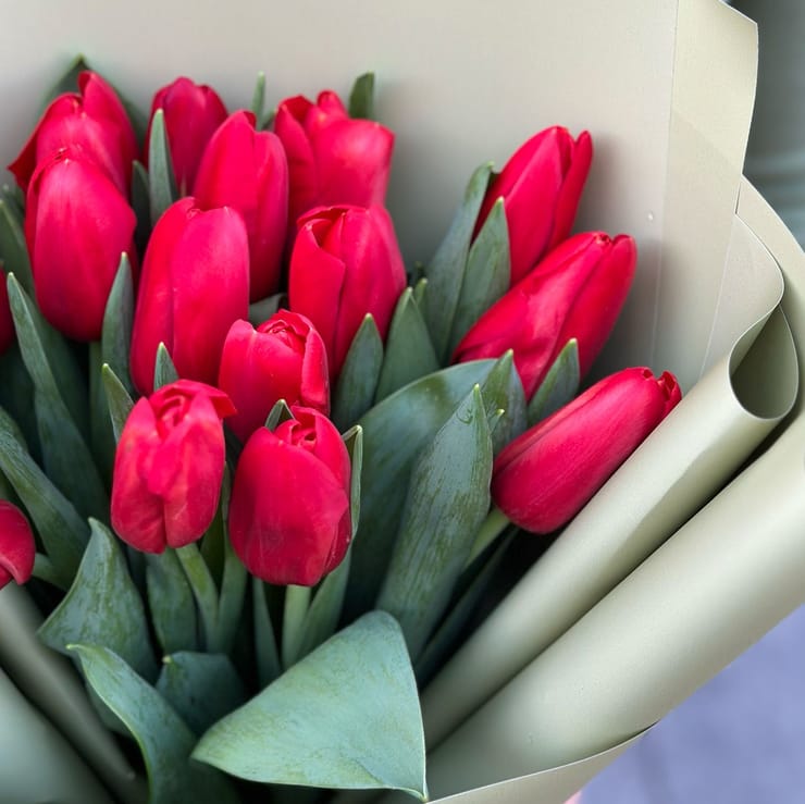 Red tulips – flower delivery in Svetlovodsk