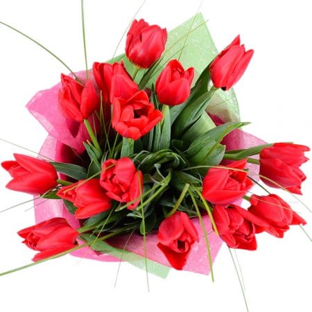 Red tulips – flower delivery in Hako