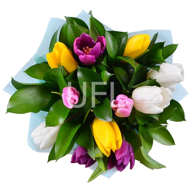 Весняний привіт 11 тюльпанів  – доставка квітів у Терамо