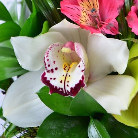 Настрій весна – доставка квітів у Іванівка (Одеська область)