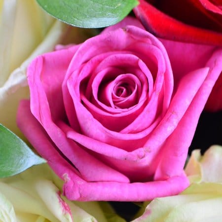 Букет 51 троянда З різнокольорових троянд – доставка квітів у Ош