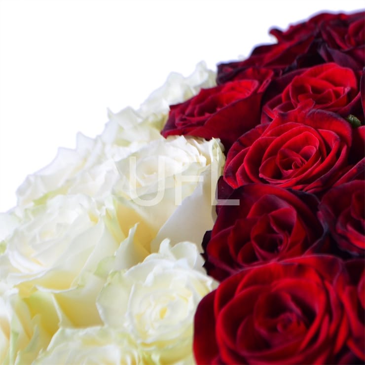 Queen – flower delivery in Volnyansk