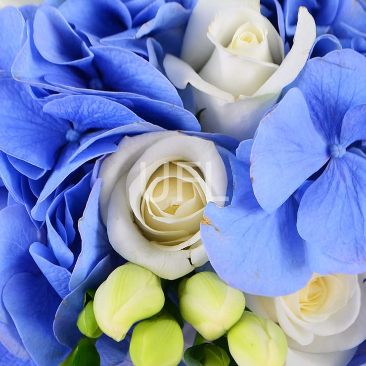 Блакитне небо – доставка квітів у Аваруа