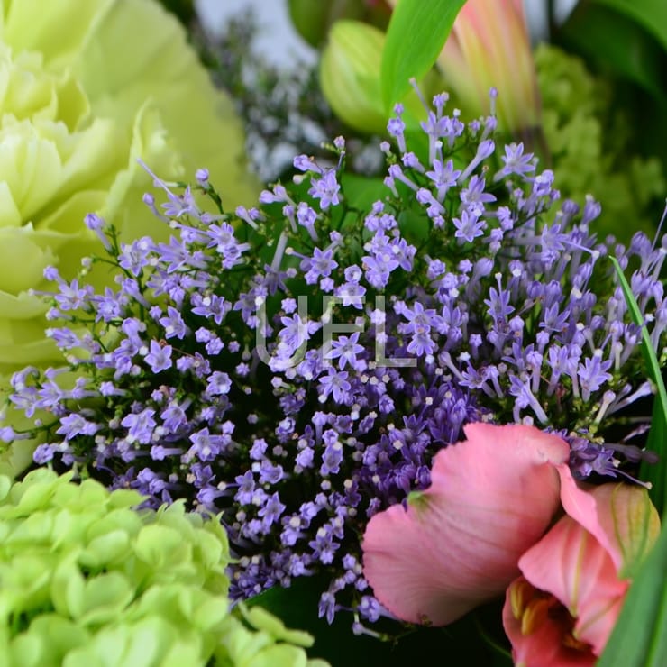 Букет квітів Свіжий – доставка квітів у Олевськ