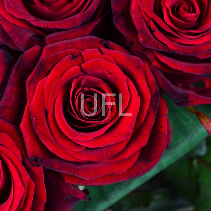 Букет серце – доставка квітів у Дублін