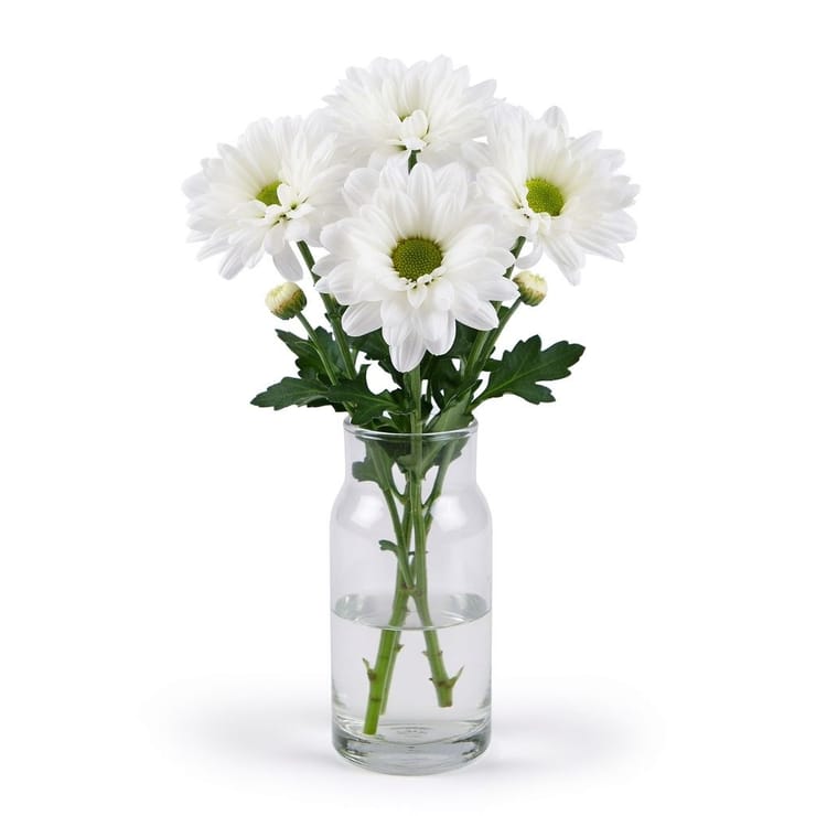 White chrysanthemums by the piece (spray) – flower delivery in Villeurbanne