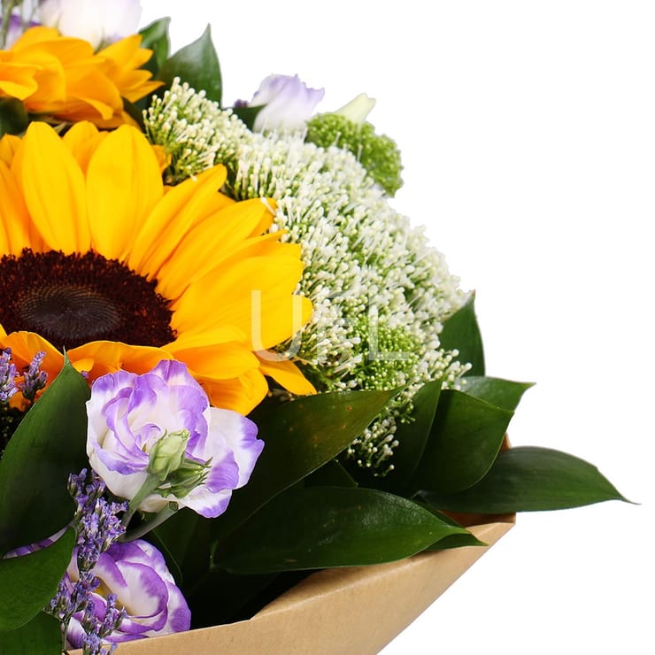 Симфонія літа, Малин