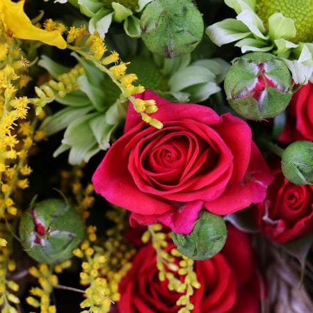 Smile of September – flower delivery in Zbarazh