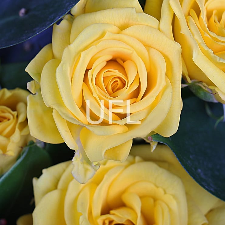 Букет-мікс в жовтих тонах – доставка квітів у Іпо