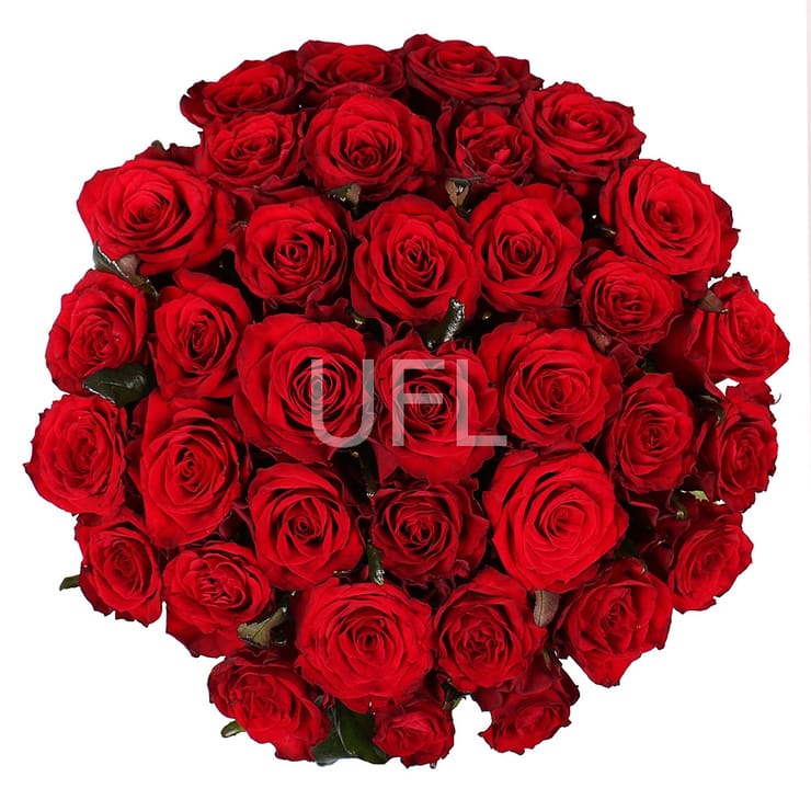 Carmine Surprise – flower delivery in Volnyansk