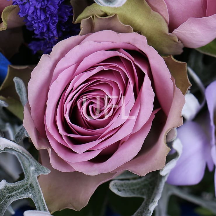 Сиреневый рассвет – доставка цветов в Черневцы