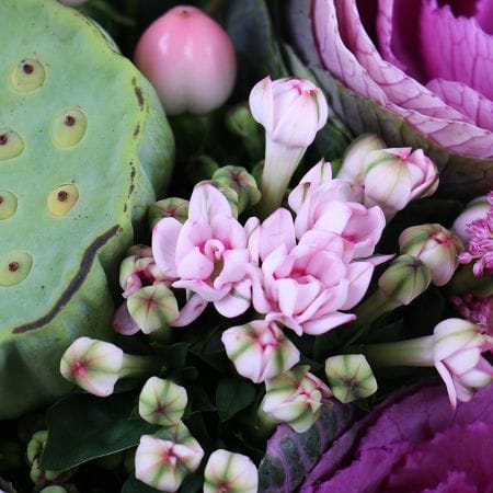 Поцелуй лотоса – доставка цветов в Аулы